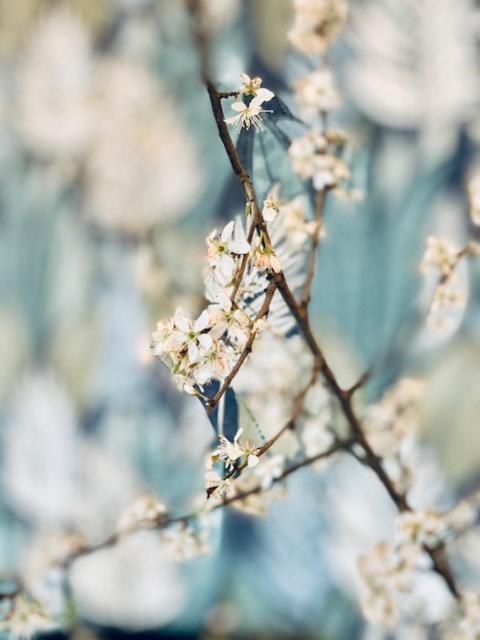 The Green House Lodge Den Dungen エクステリア 写真
